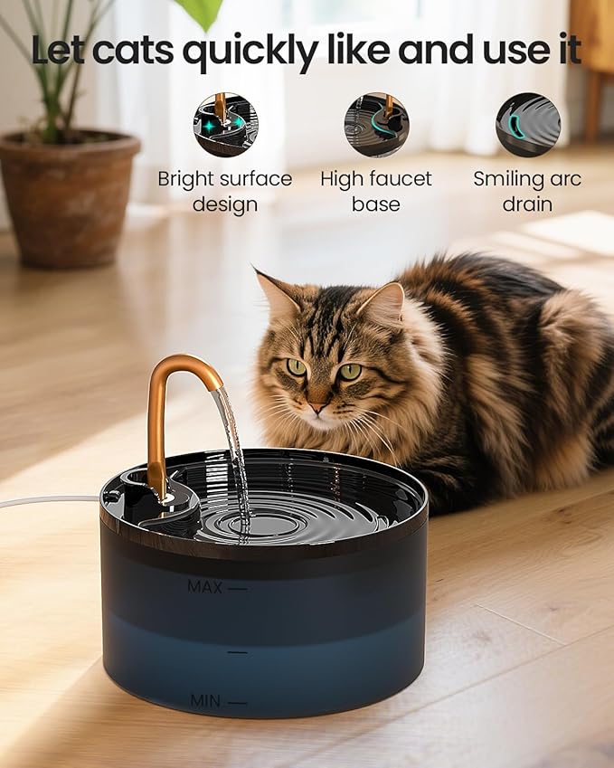 Petpop Automatic Cat Water Fountain with Blue Nightlight & 6 Replacement Filters