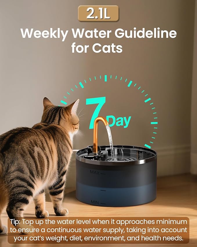 Petpop Automatic Cat Water Fountain with Blue Nightlight & 6 Replacement Filters