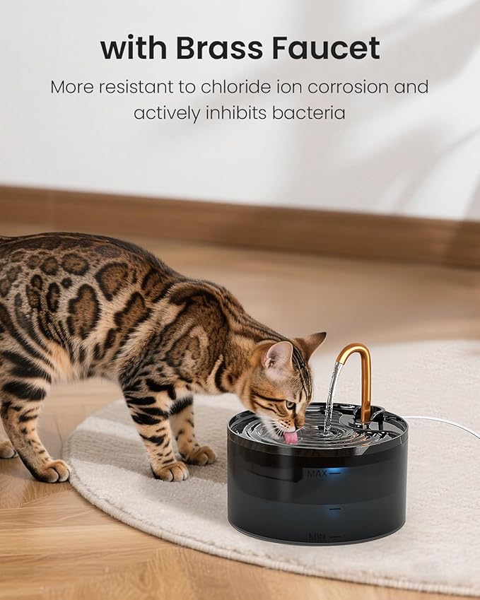 Petpop Automatic Cat Water Fountain with Blue Nightlight & 6 Replacement Filters