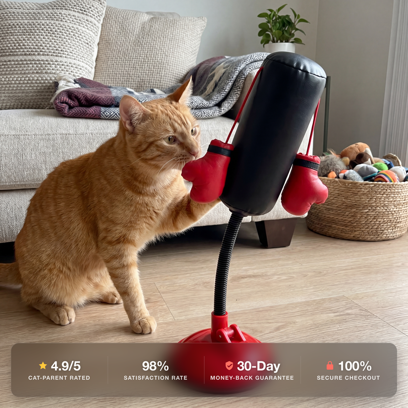 Interactive Cat Punching Bag Toy